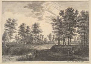 المناظر الطبيعية المشجرة ، 1644. بواسطة وينسلوس هولار