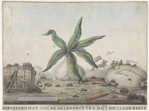 رسم كاريكاتوري عن الجمارك الفرنسية ، 1813-1814 اجتماع القبو الفاسد مع الريجي (العنوان على الكائن) بواسطة ويجنان إيسر