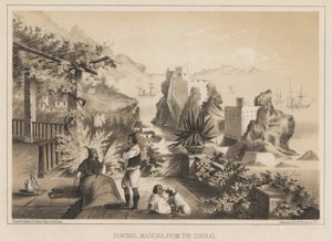 فونشال ، ماديرا ، من Curral ، 1885 بواسطة فيلهلم جوزيف هاينه