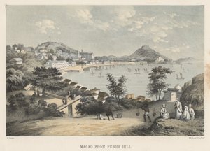 ماكاو من بينها هيل ، 1855 بواسطة فيلهلم جوزيف هاينه