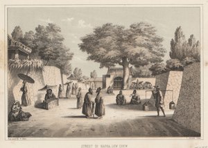 شارع في نابا ، لو تشو ، 1855 بواسطة فيلهلم جوزيف هاينه