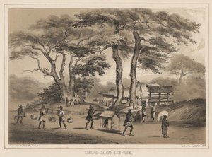 Tshan-Di-Coo-Sah، Lew Chew، 1855 (lithograph) بواسطة فيلهلم جوزيف هاينه