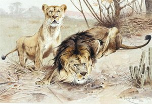 أسد ، لوحة من "Brehm's Animal Life: General Knowledge Kingdom of Animal Kingdom" ، المجلد 1 ، ص 453 ، نشره المعهد الببليوغرافي بواسطة فيلهلم كونرت