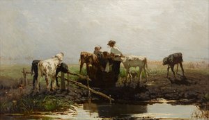 عجول في حوض