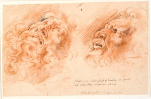 لاكون. دراستان لوجه Laocoon ، إحداهما تبدو الوجه من الأسفل ، والأخرى في الملف الشخصي إلى اليسار.