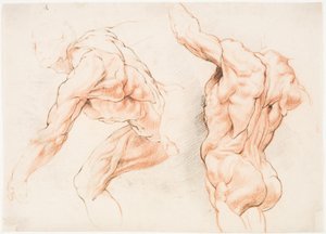 دراستان تشريحيتان لرجل يميل إلى اليسار وأخرى من الخلف بذراع مرفوعة (écorché) بواسطة ويليم بانيلز