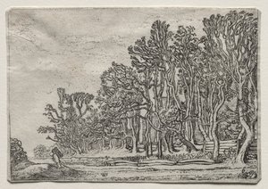 مجموعة المناظر الطبيعية: Two Plank-Hedges ، 1616.