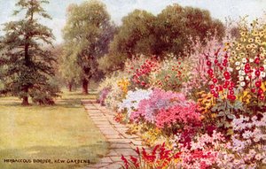 الحدود العشبية وحدائق كيو بواسطة وليام أفليك كاروثرز