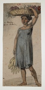 ويسترن ديجيتال 961 f.278 بواسطة وليام الكسندر