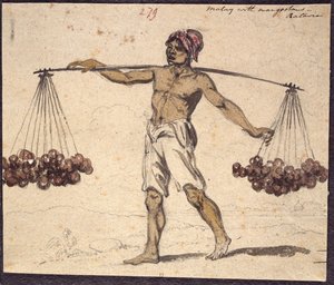 ويسترن ديجيتال 961 f.279 بواسطة وليام الكسندر