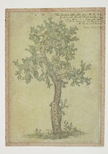 ويسترن ديجيتال 961 f.30 بواسطة وليام الكسندر