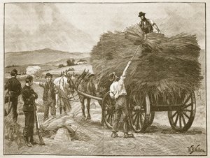 إنقاذ محاصيل الكابتن Boycott ، التوضيح من نقش "Cassell&39;s Illustrated History of England" (صورة بني داكن) بواسطة صوف ويليام بارنز