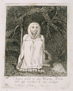 لقد أخبرت الدودة أنك أمي وأختي ، اللوحة 17 من &39;For Children. أبواب الجنة ، 1793 بواسطة وليام بليك