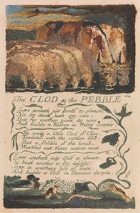 أغاني البراءة والخبرة ، اللوحة 36 ، "The Clod and the Pebble" (بنتلي 32) بواسطة وليام بليك