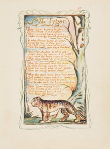 أغاني البراءة والخبرة: The Tyger، c.1825 (نقش الحبر البني باليد بالألوان المائية) بواسطة وليام بليك