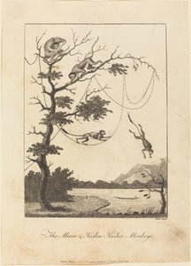 The Mecoo & Kisbee Kishee Monkeys1793. بواسطة وليام بليك