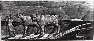 Heifers Unyoked Loitering Homeward ، رسم توضيحي من دكتور ثورنتون "The Pastorals of Virgil" بواسطة وليام بليك
