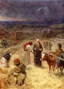 الملك داود يشتري البيدر - الكتاب المقدس بواسطة ويليام براسي هول