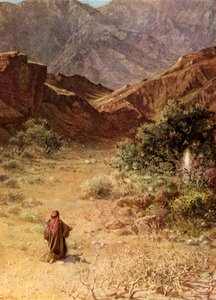 موسى والشجيرة المحترقة - الكتاب المقدس بواسطة ويليام براسي هول