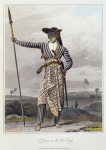 جافان في ثوب الحرب ، رر. 5 من المجلد الأول من "تاريخ جافا" بقلم توماس ستامفورد رافلز (1781-1826) حانة. 1817 (أكواتينت ملون) بواسطة وليام دانييل