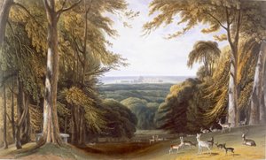 Glen in Windsor Park بالقرب من Bishops Gate ، c1827-30. بواسطة وليام دانييل