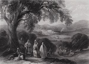 وادي الناصرة (نقش) بواسطة وليام هـ. بارتليت