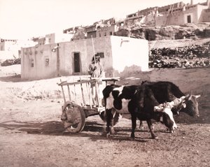  بواسطة وليام إتش جاكسون