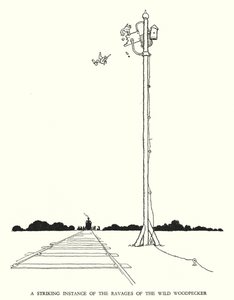 رسم توضيحي للسكك الحديدية Ribaldry بواسطة W Heath Robinson (litho) بواسطة وليام هيث روبنسون