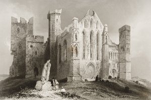 The Rock of Cashel ، County Tipperary ، Ireland ، from &39;Scenery and Antiquities of Ireland&39; by George Virtue، 1860s (engraving) بواسطة وليام هنري بارتليت