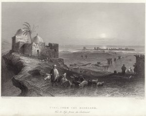 صور من البر الرئيسى