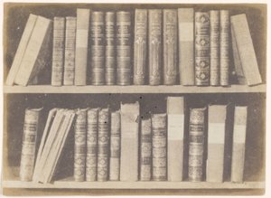 مشهد في مكتبة ، اللوحة الثامنة من قلم رصاص الطبيعة
