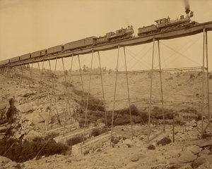  بواسطة وليام هنري جاكسون