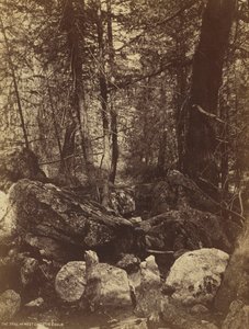 درب في غرب جالاتين كانون ، ج. 1870. بواسطة وليام هنري جاكسون