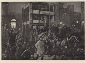 رحلة جامبو إلى الأحواض