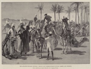 التقدم نحو دنقلا والفنانين والمراسلين الذين يشترون الجمال والحمير
