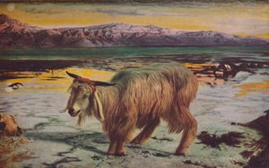 كبش الفداء ، 1856 ، c1950. بواسطة وليام هولمان هانت