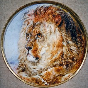 صورة لأسد بواسطة وليام هوجينز