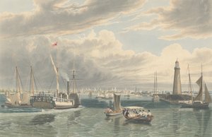 بوفالو ، من بحيرة إيري ، نُشر عام 1836. بواسطة وليام جيمس بينيت