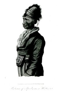 صورة لـ Speelman ، وهو Hottentot ، 1814 بواسطة وليام جون بورشيل