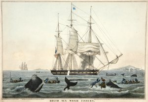 مصايد حوت البحر الجنوبي ، حانة. 1825 (الطباعة الحجرية الملونة)