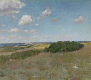 Sunlight and Shadow، Shinnecock Hills، c.1895 (زيت على قماش) بواسطة وليام ميريت تشيس