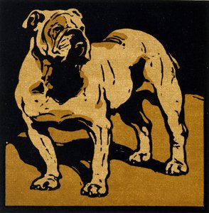 The British Bull-Dog ، من "The Square Book of Animals" ، نشره William Heinemann بواسطة وليام نيكلسون