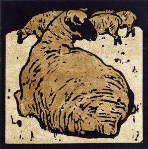 The Simple Sheep ، رسم توضيحي من "The Square Book of Animals" ، نشره William Heinemann بواسطة وليام نيكلسون