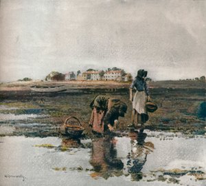 قطف بلح البحر ، c1908