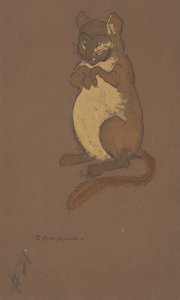 تصميم زي Dormouse لـ Alice-in-Wonderland ، 1915.