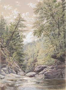 Catskill Clove in Palingsville ، 1856. بواسطة وليام ريكاربي ميللر