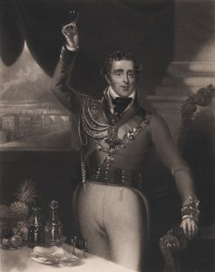 دوق ويلينجتون 1828.