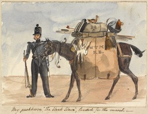فرس العبيد الخاص بي ، العبد الأسود ، محمّل للمسيرة ، حوالي 1854 (ألوان مائية وقلم رصاص على ورق)