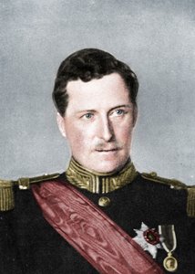 ألبرت ، ملك بلجيكا ، الحرب العالمية الأولى ، 1914