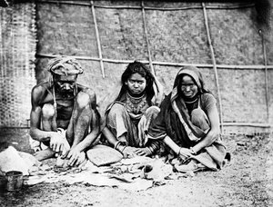 تشاي والاس ، من "صور الموضوعات الهندية" ج .1860